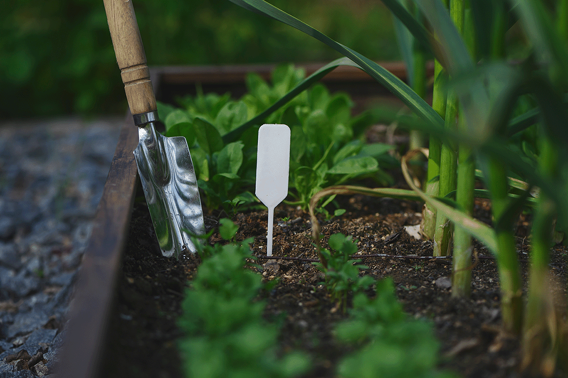 Managing profitable growth for a portfolio of brands: How Garden’s Alive is governing their media mix with advanced attribution